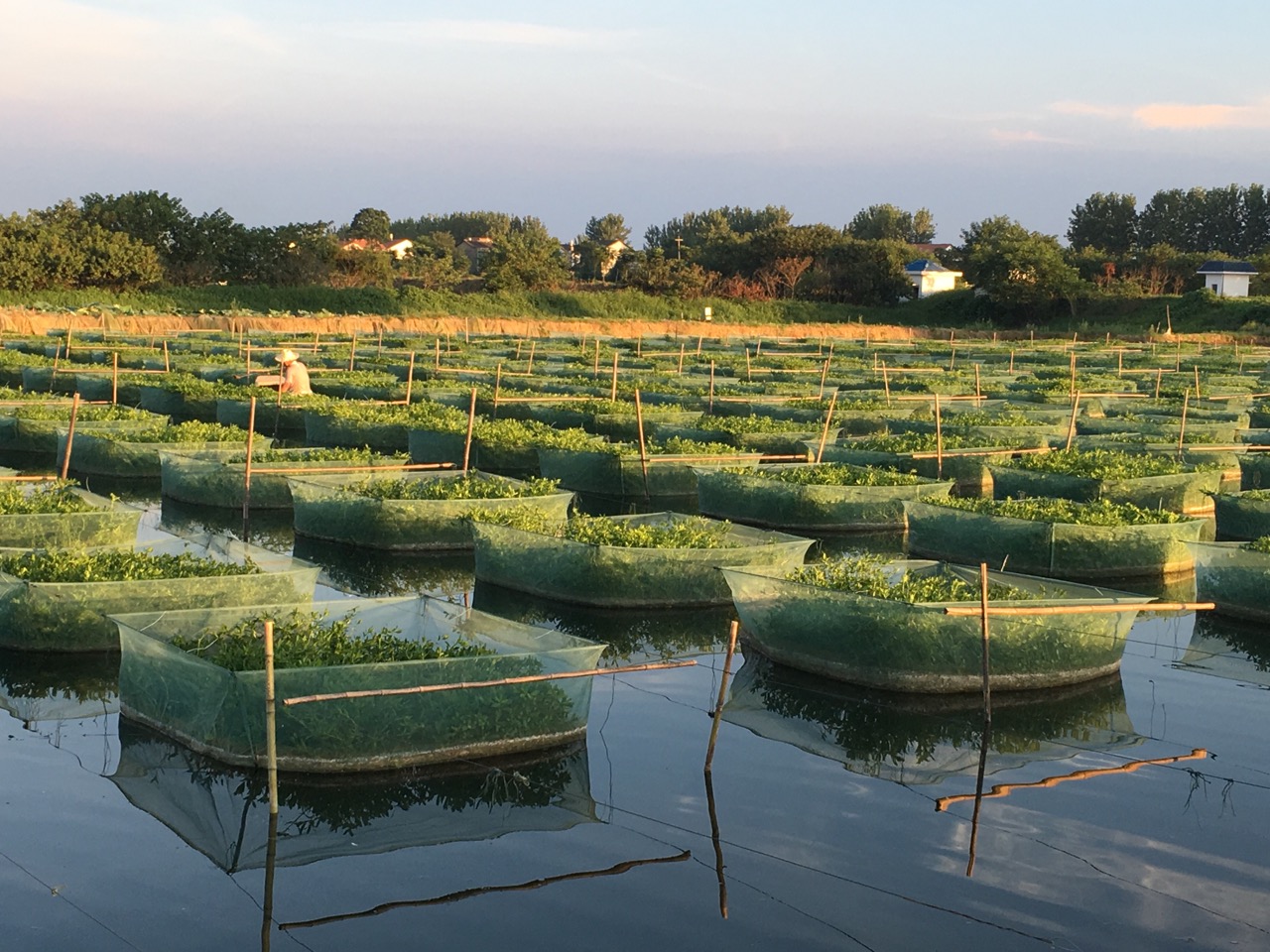 lADPBbCc1inyJ7fNA8DNBQA_1280_960.jpg lADPBbCc1inyJ7fNA8DNBQA_1280_960.jpg