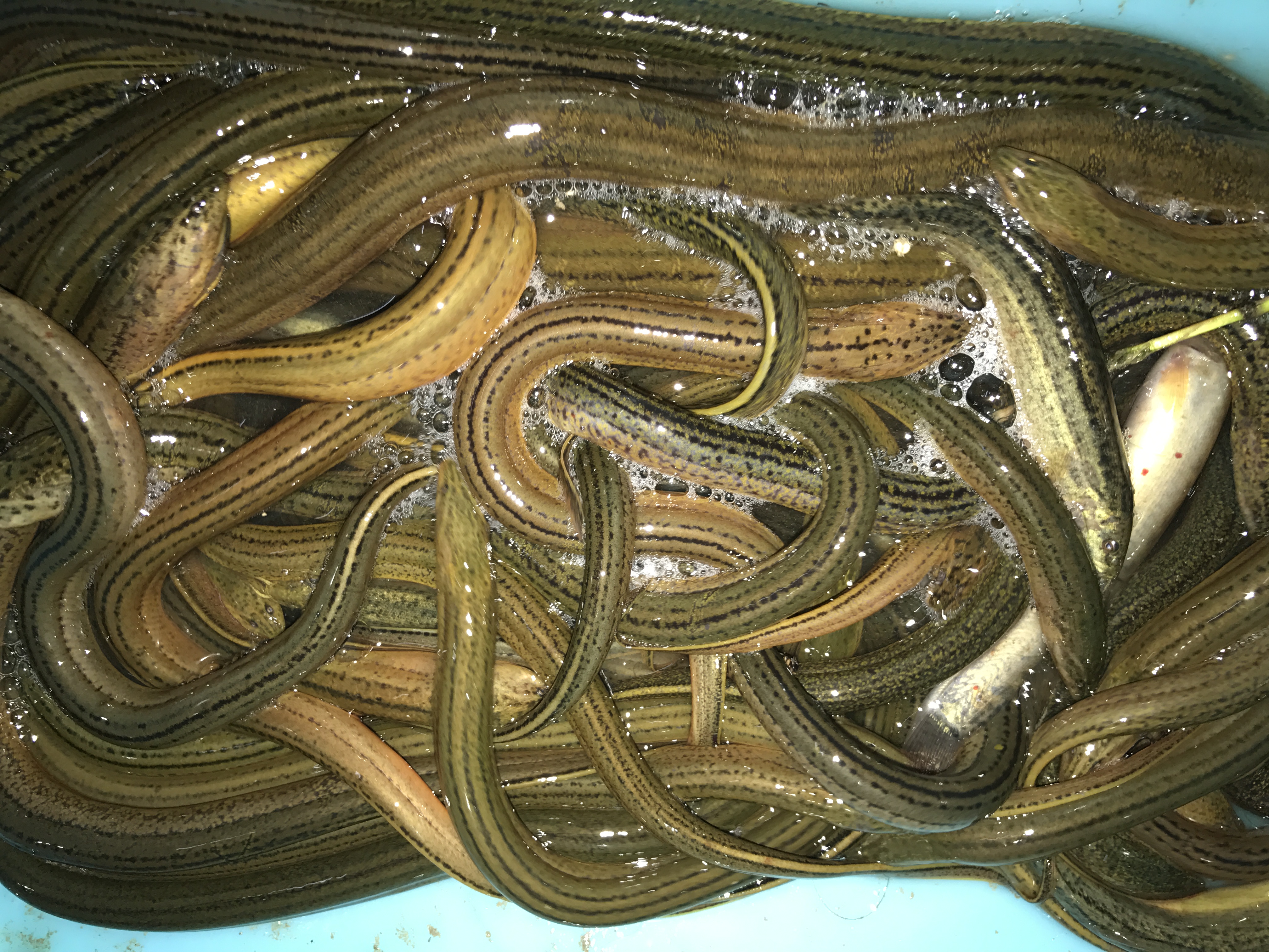 lADPBbCc1inyJ_nNC9DND8A_4032_3024.jpg lADPBbCc1inyJ_nNC9DND8A_4032_3024.jpg